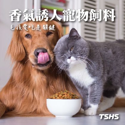 寵物飼料自動化調味設備